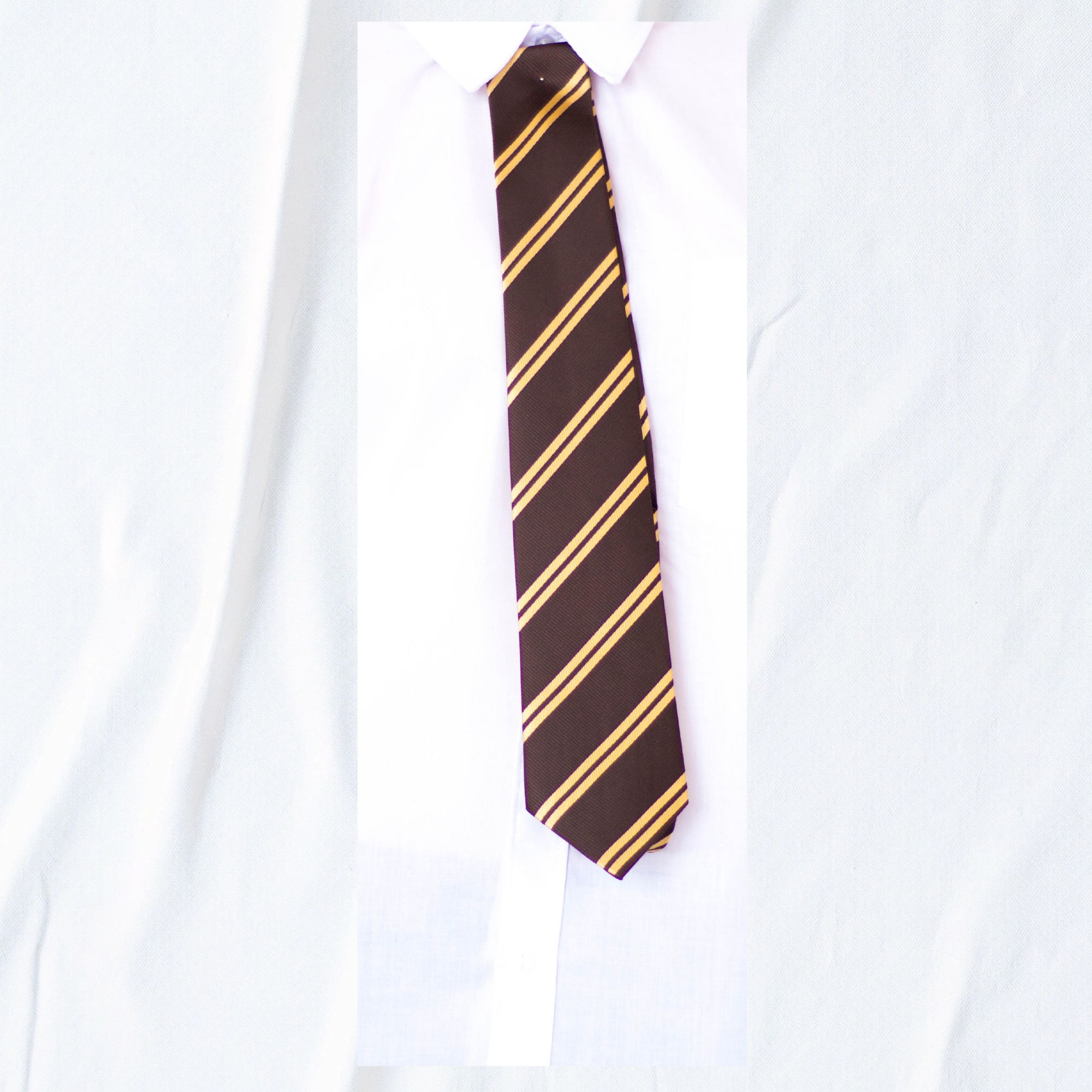 School-Tie-Brown-Gold